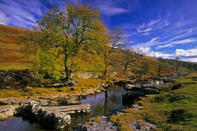 5310_Langstrothdale Autumn